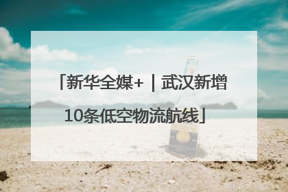 新华全媒+｜武汉新增10条低空物流航线