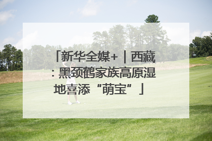 新华全媒+｜西藏：黑颈鹤家族高原湿地喜添“萌宝”
