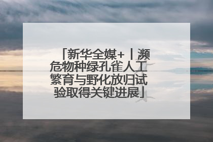 新华全媒+丨濒危物种绿孔雀人工繁育与野化放归试验取得关键进展