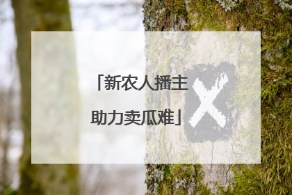 新农人播主 助力卖瓜难