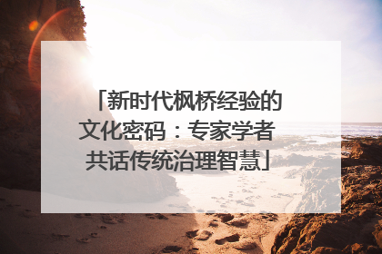 新时代枫桥经验的文化密码：专家学者共话传统治理智慧