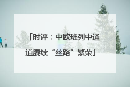 时评：中欧班列中通道赓续“丝路”繁荣