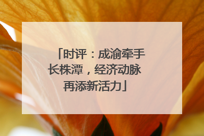 时评：成渝牵手长株潭，经济动脉再添新活力