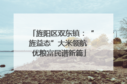 旌阳区双东镇：“旌益态”大米领航 优粮富民谱新篇