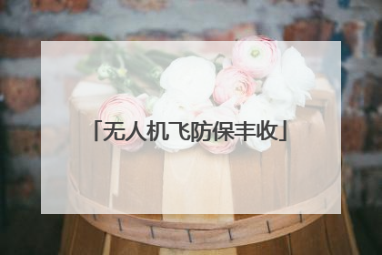 无人机飞防保丰收