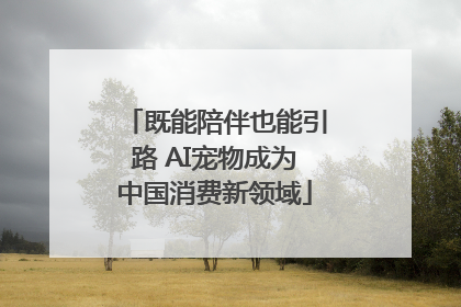 既能陪伴也能引路 AI宠物成为中国消费新领域