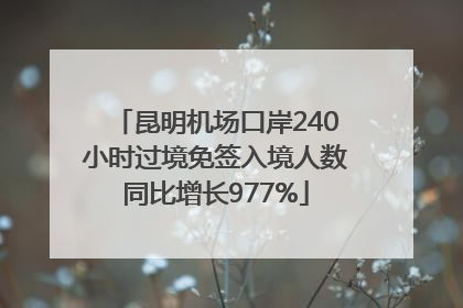 昆明机场口岸240小时过境免签入境人数同比增长977%