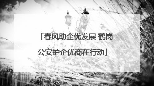 春风助企优发展 鹤岗公安护企优商在行动