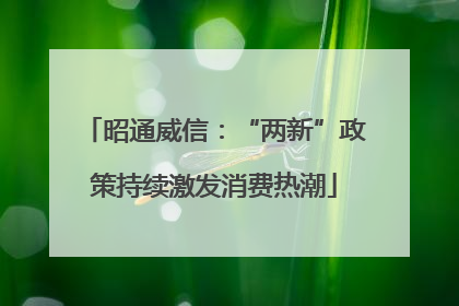 昭通威信：“两新”政策持续激发消费热潮