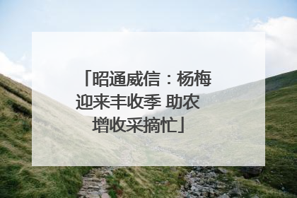 昭通威信：杨梅迎来丰收季 助农增收采摘忙