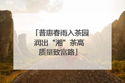 普惠春雨入茶园 润出“湘”茶高质量致富路