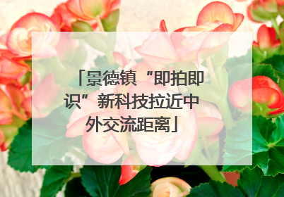 景德镇“即拍即识”新科技拉近中外交流距离