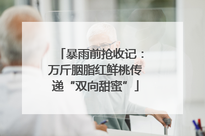 暴雨前抢收记：万斤胭脂红鲜桃传递“双向甜蜜”