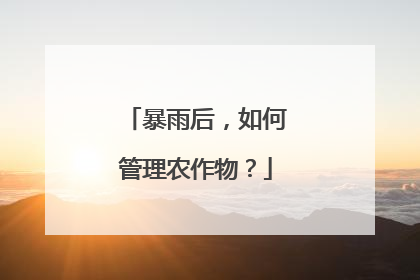 暴雨后，如何管理农作物？
