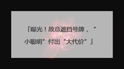 曝光！故意遮挡号牌，“小聪明”付出“大代价”