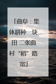 曲阜：集体耕种一块田 二张曲村“稻”路宽