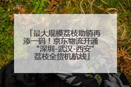 最大规模荔枝助销再添一码！京东物流开通“深圳-武汉-西安” 荔枝全货机航线
