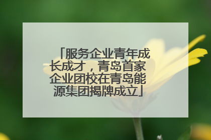 服务企业青年成长成才，青岛首家企业团校在青岛能源集团揭牌成立
