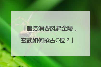 服务消费风起金陵，玄武如何抢占C位？