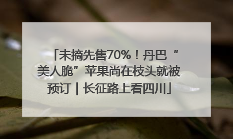 未摘先售70%！丹巴“美人脆”苹果尚在枝头就被预订｜长征路上看四川