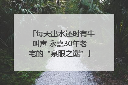 每天出水还时有牛叫声 永嘉30年老宅的“泉眼之谜”