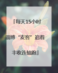 每天15小时 淄博“麦客”追着丰收连轴跑