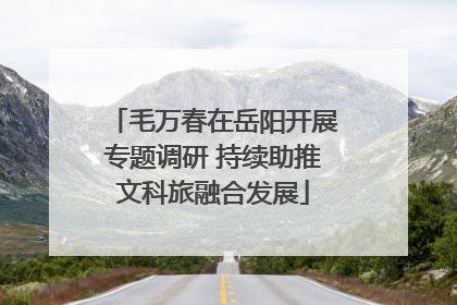 毛万春在岳阳开展专题调研 持续助推文科旅融合发展