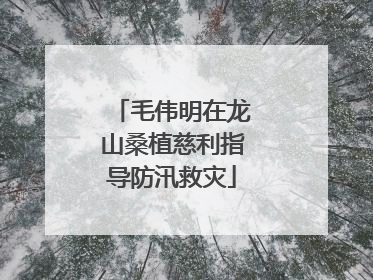 毛伟明在龙山桑植慈利指导防汛救灾