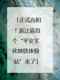 正式亮相！浙江省首个“平安文化地铁体验站”来了
