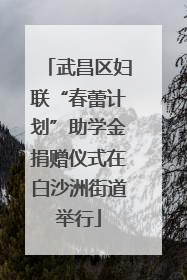 武昌区妇联“春蕾计划”助学金捐赠仪式在白沙洲街道举行