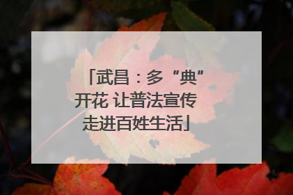 武昌：多“典”开花 让普法宣传走进百姓生活