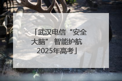 武汉电信“安全大脑” 智能护航2025年高考
