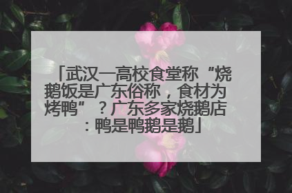 武汉一高校食堂称“烧鹅饭是广东俗称，食材为烤鸭”？广东多家烧鹅店：鸭是鸭鹅是鹅