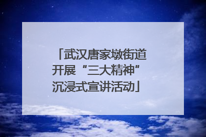 武汉唐家墩街道开展“三大精神”沉浸式宣讲活动