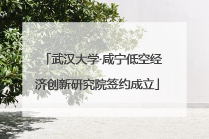 武汉大学·咸宁低空经济创新研究院签约成立