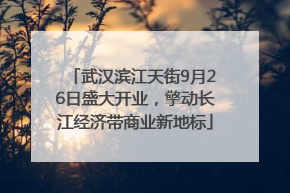 武汉滨江天街9月26日盛大开业，擎动长江经济带商业新地标