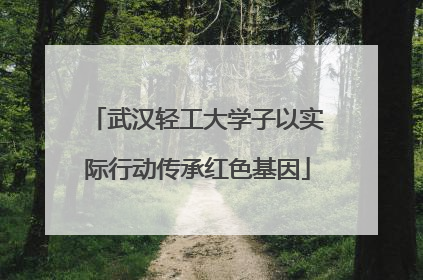 武汉轻工大学子以实际行动传承红色基因