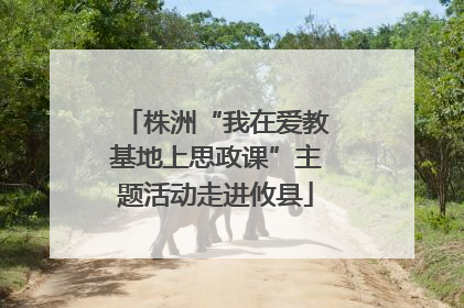 株洲“我在爱教基地上思政课”主题活动走进攸县