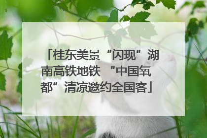 桂东美景“闪现”湖南高铁地铁 “中国氧都”清凉邀约全国客