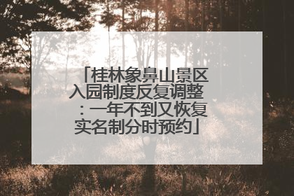 桂林象鼻山景区入园制度反复调整：一年不到又恢复实名制分时预约