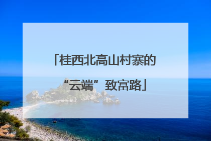 桂西北高山村寨的“云端”致富路