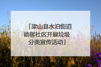 梁山县水泊街道德馨社区开展垃圾分类宣传活动