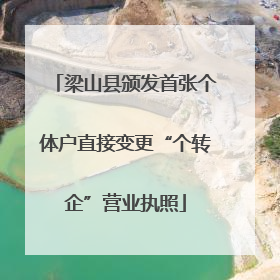梁山县颁发首张个体户直接变更“个转企”营业执照