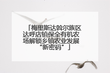 梅里斯达斡尔族区达呼店镇保全有机农场解锁乡镇农业发展“新密码”