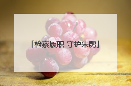 检察履职 守护朱鹮