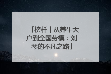 榜样｜从养牛大户到全国劳模：刘琴的不凡之路