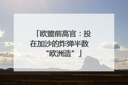 欧盟前高官：投在加沙的炸弹半数“欧洲造”