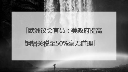 欧洲议会官员：美政府提高钢铝关税至50%毫无道理