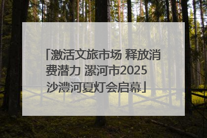 激活文旅市场 释放消费潜力 漯河市2025沙澧河夏灯会启幕