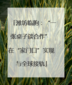 潍坊临朐：“一张桌子谈合作” 在“家门口”实现与全球接轨
